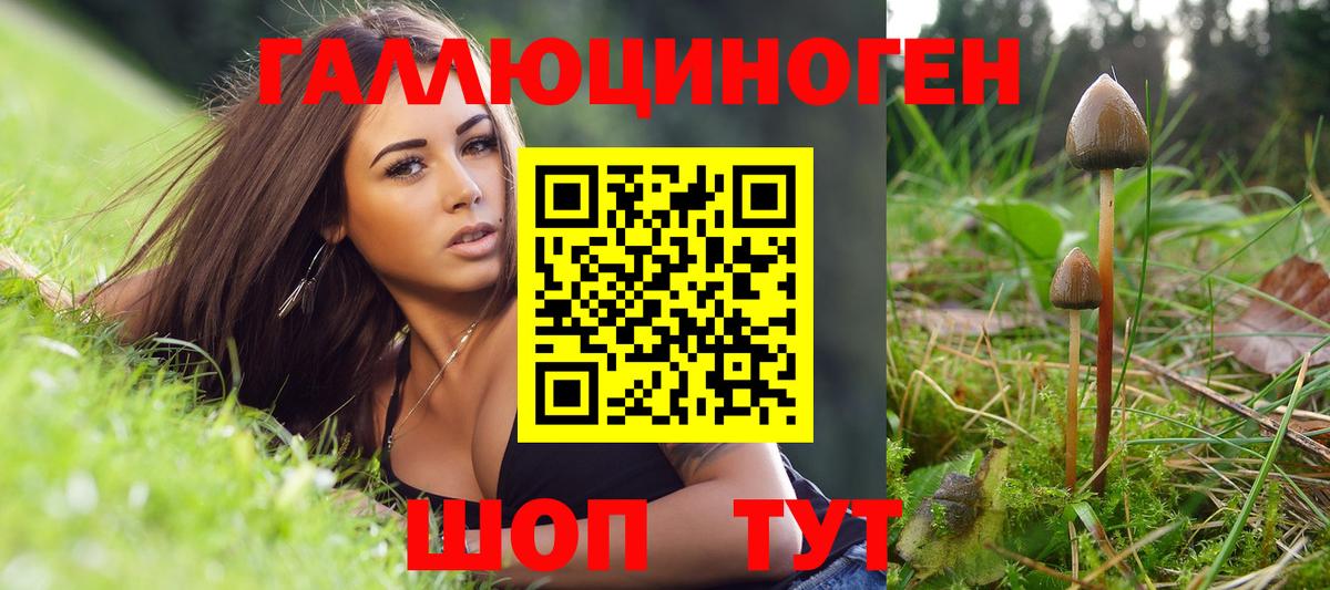 Галлюциногенные грибы Psilocybe  Вход с VPN  Асино  Псилоцибиновые грибы прущие грибы 